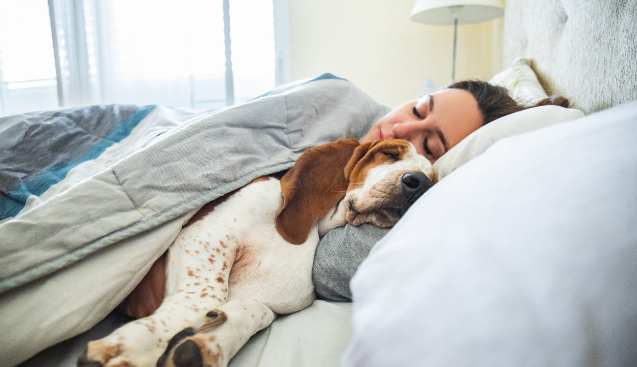 Should You Let Pets Sleep in Your Bed?
